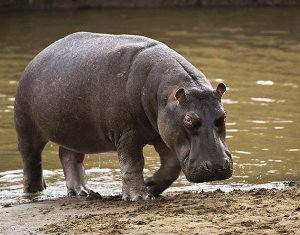 Palety a zase palety